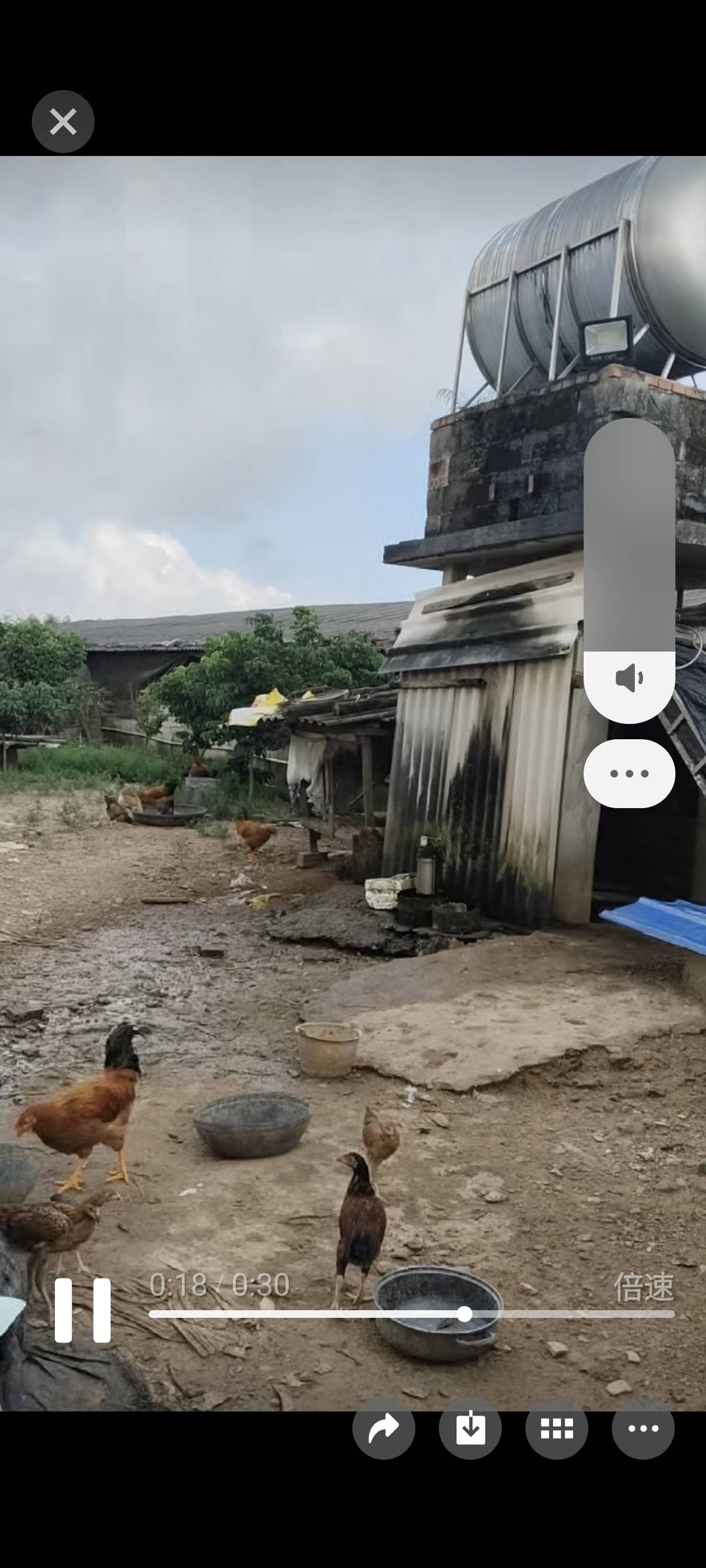 缩略图 3