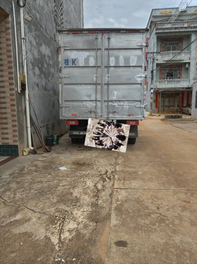 缩略图 6