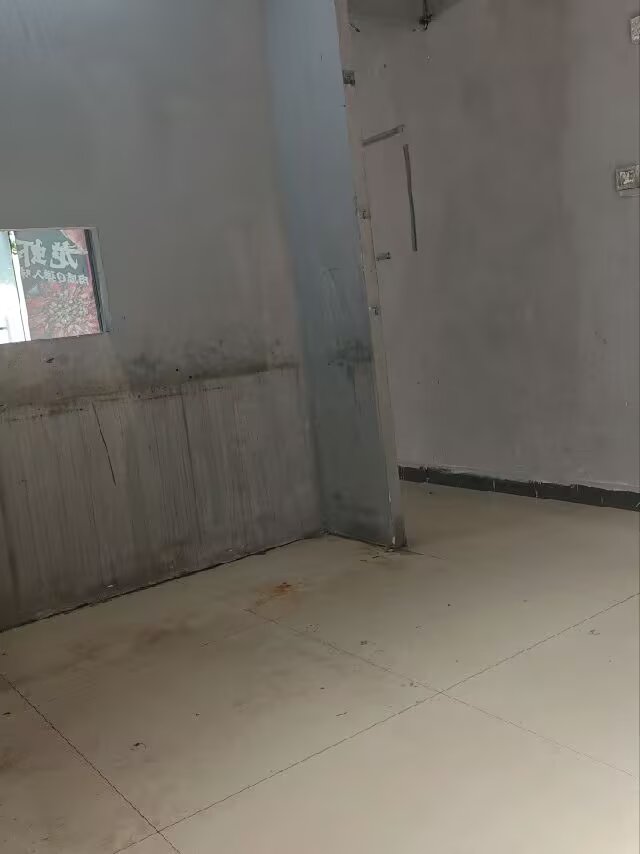 缩略图 5