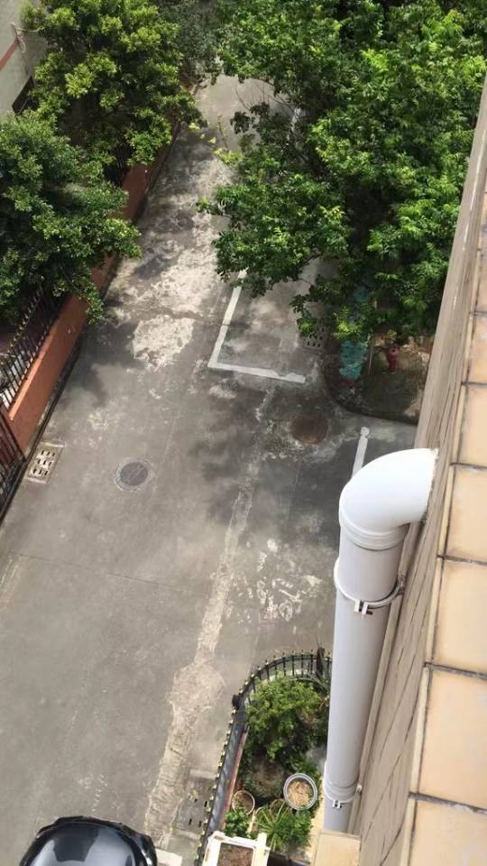 缩略图 2