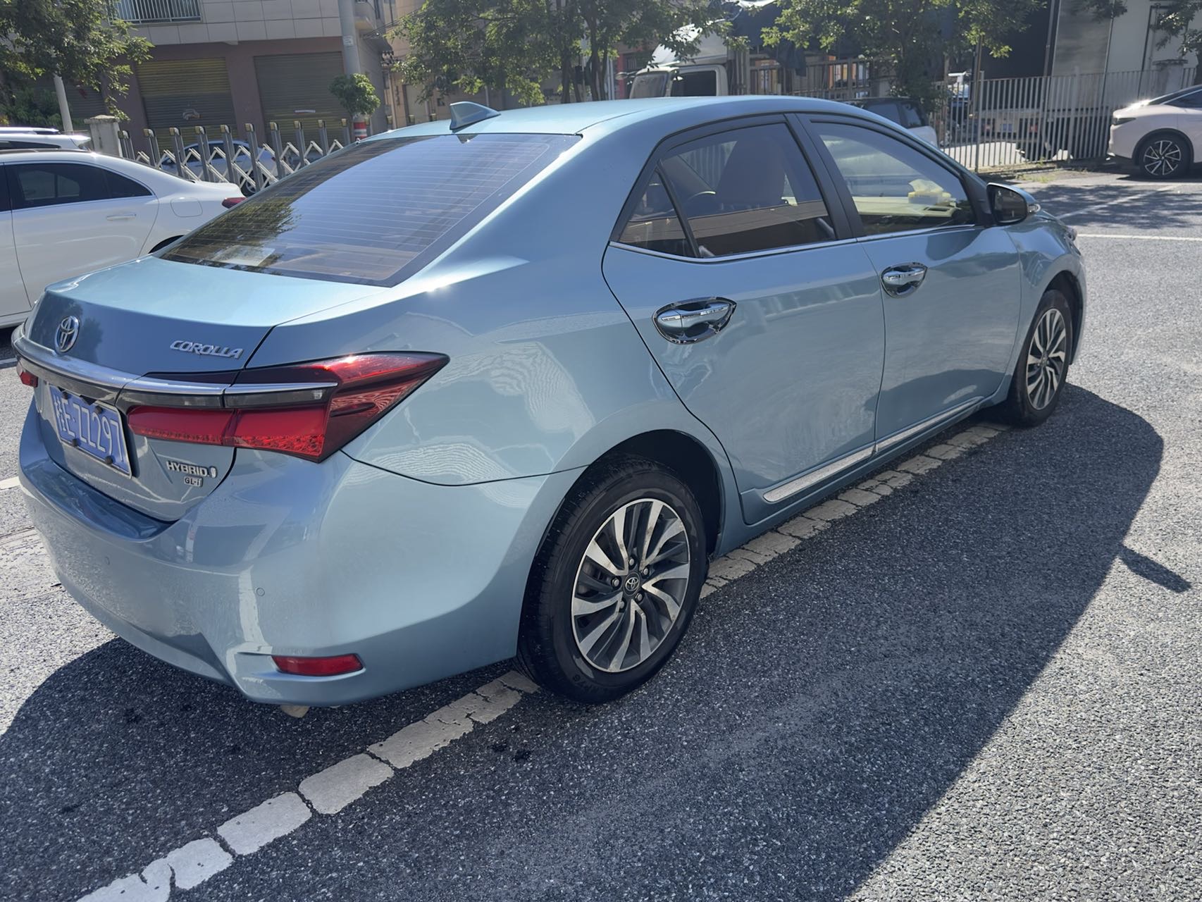 缩略图 8