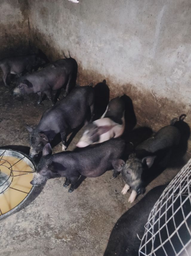 缩略图 2