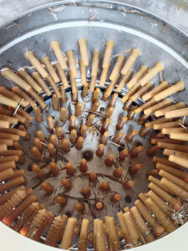 缩略图 2