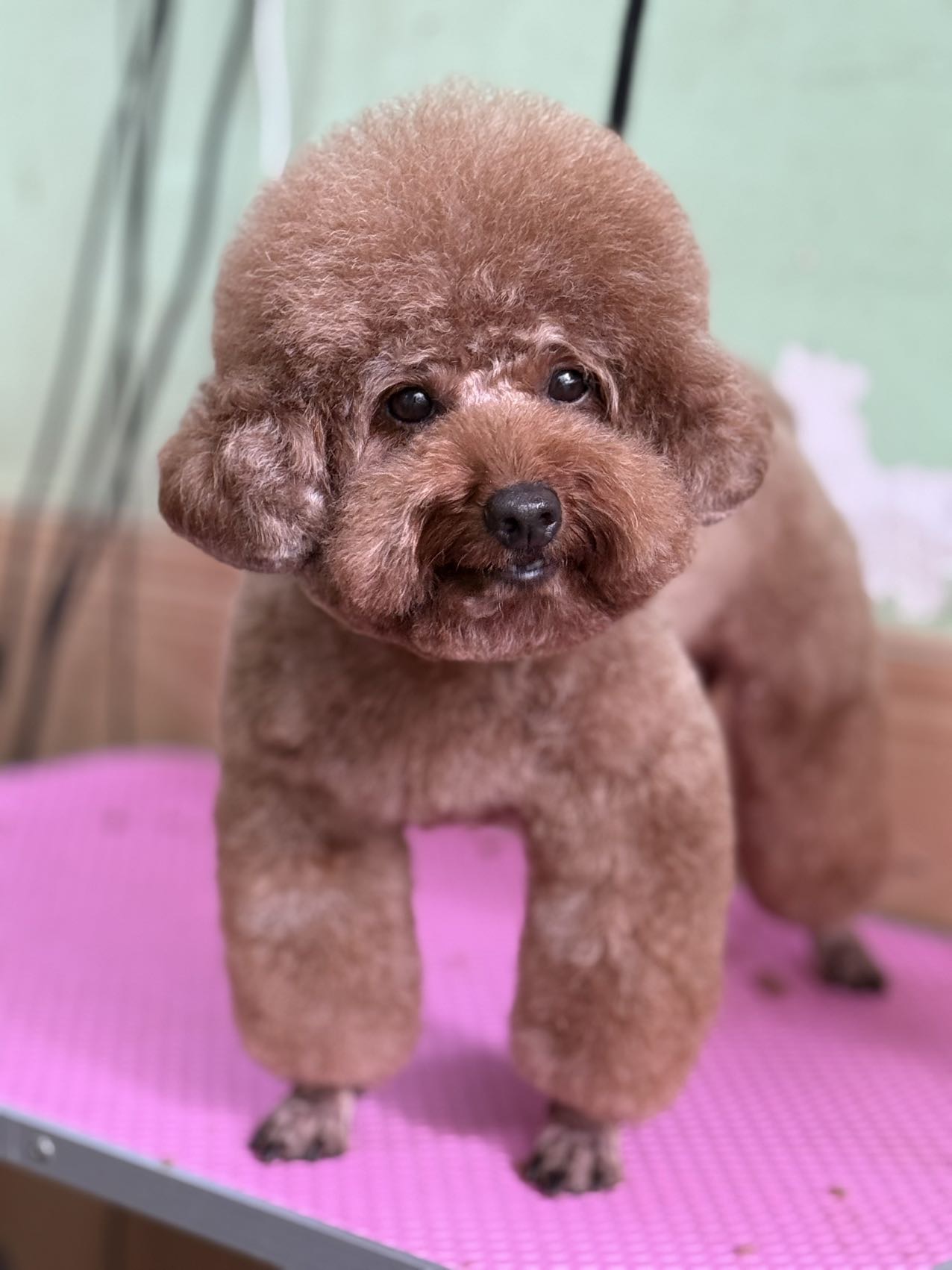 缩略图 2