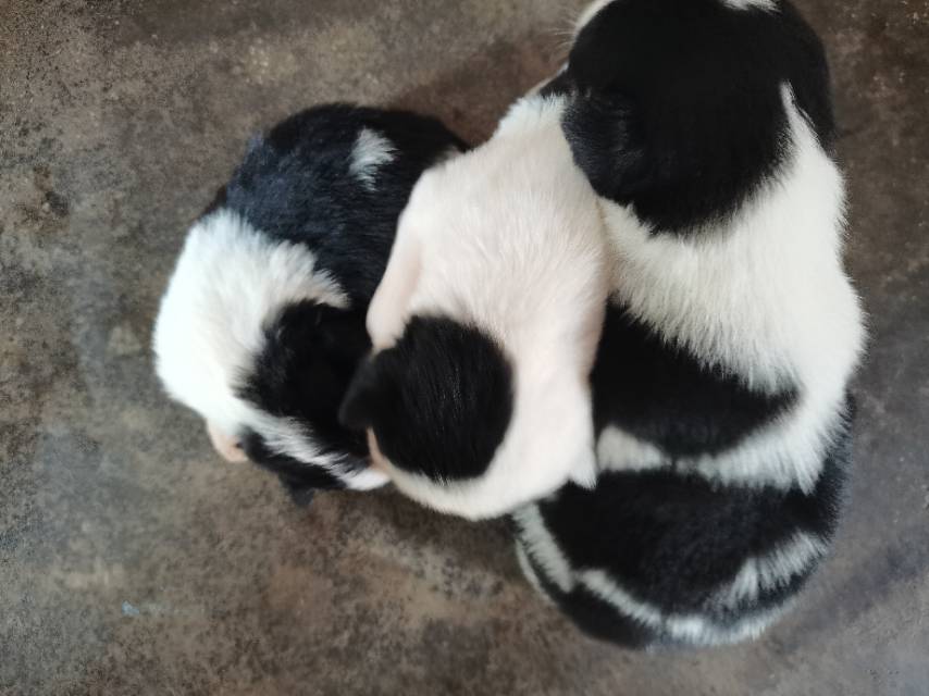 缩略图 9