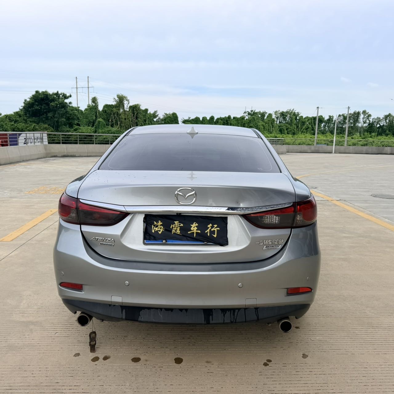 缩略图 5