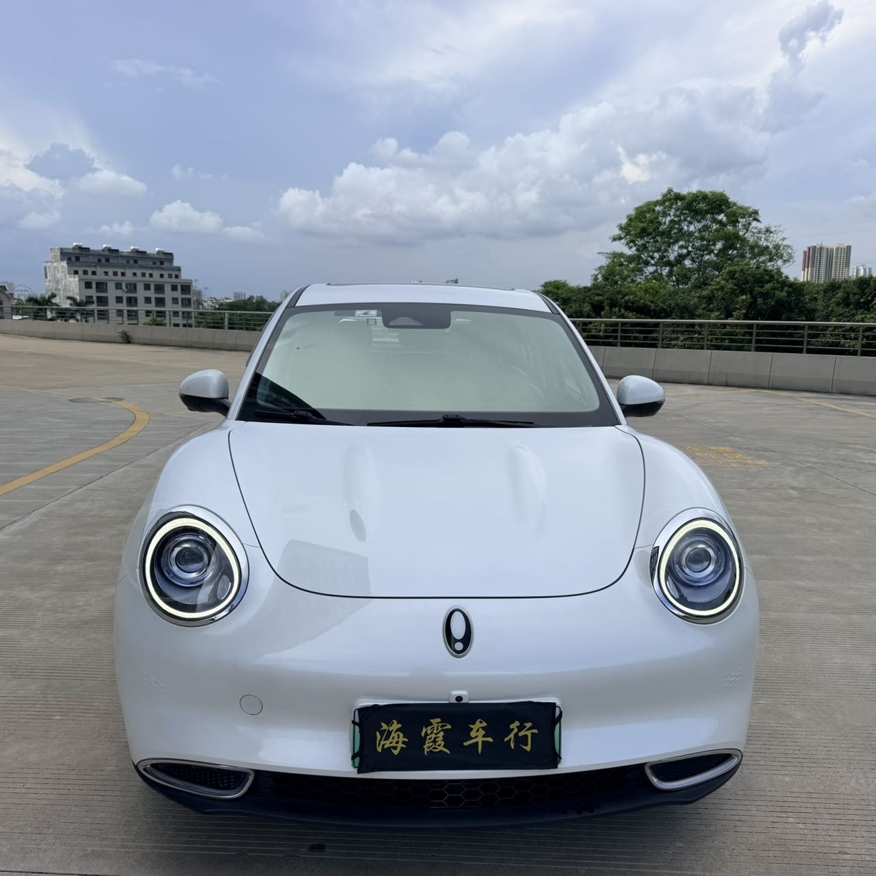 缩略图 2