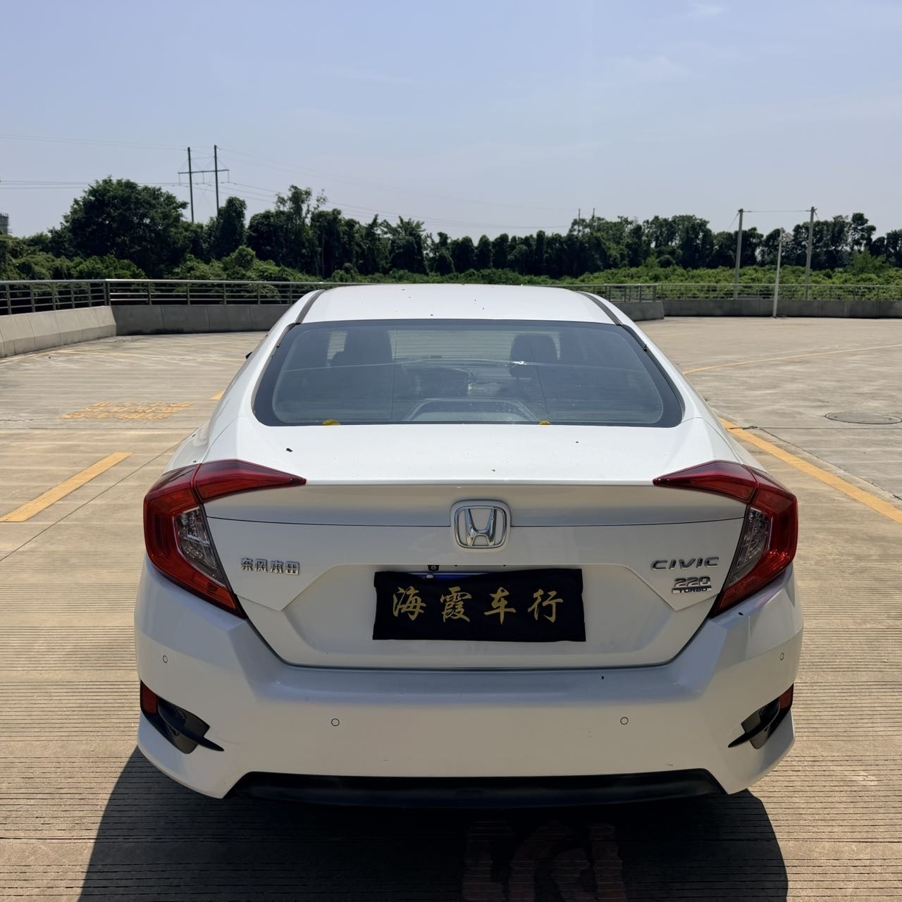 缩略图 5