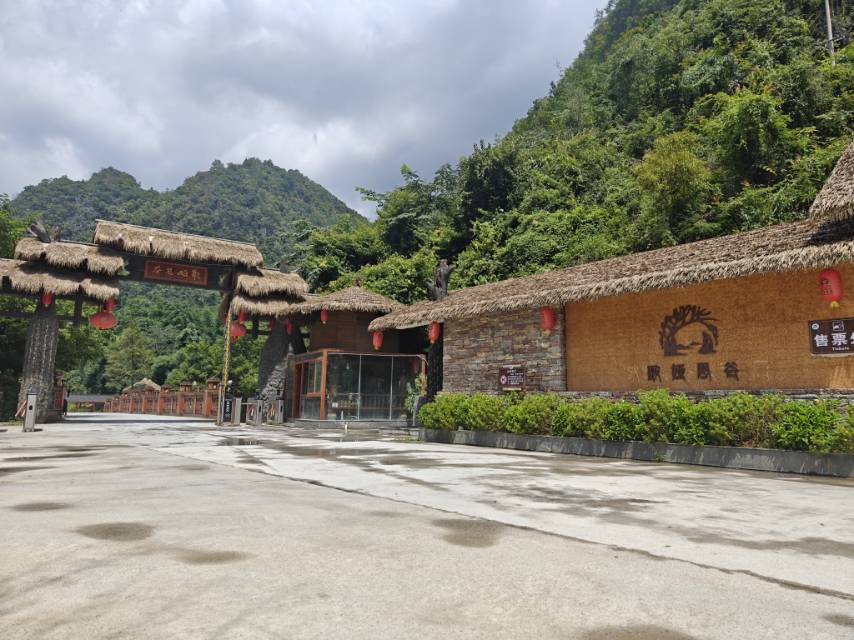 缩略图 5