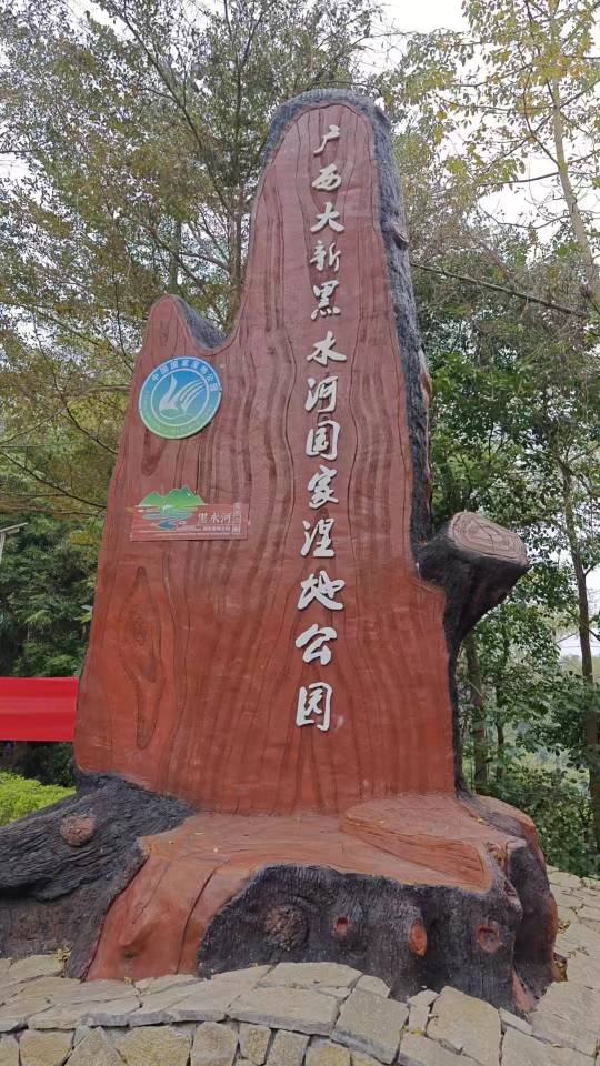 缩略图 8
