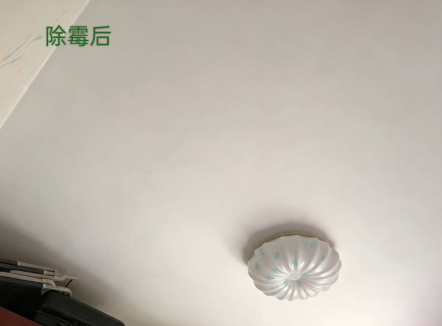 缩略图 4