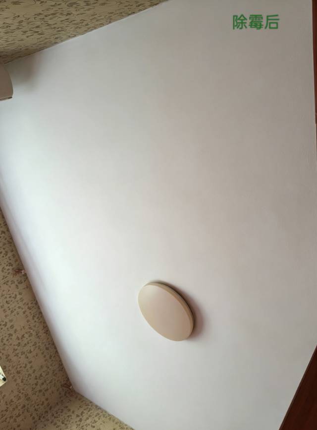 缩略图 9