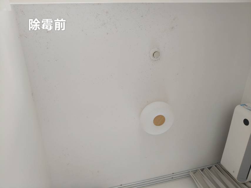 缩略图 4
