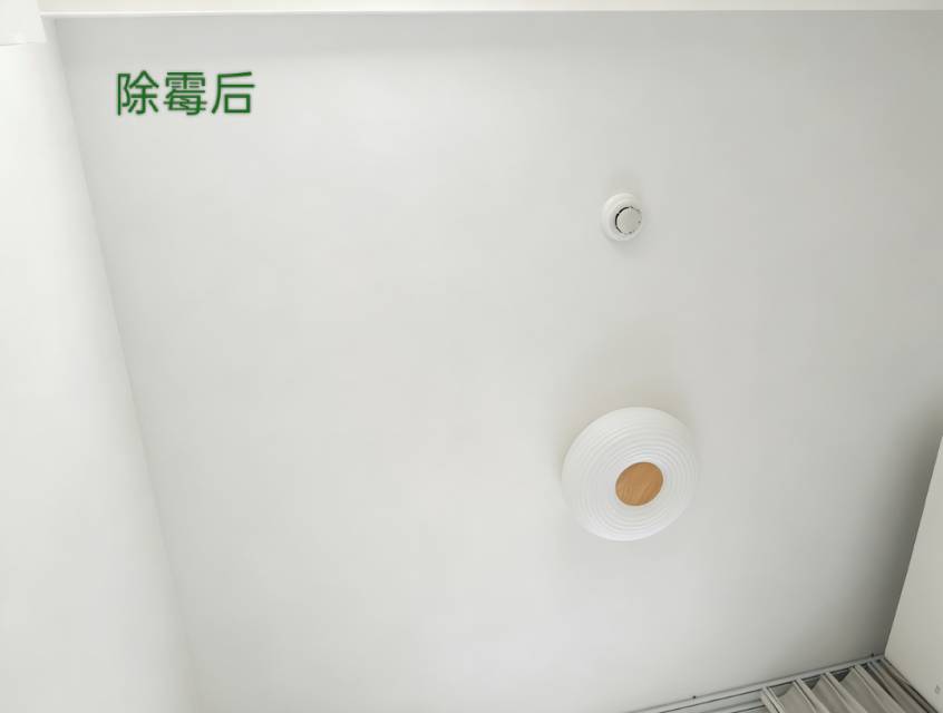 缩略图 5