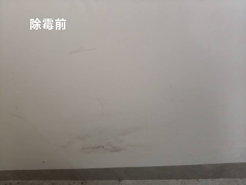 缩略图 8