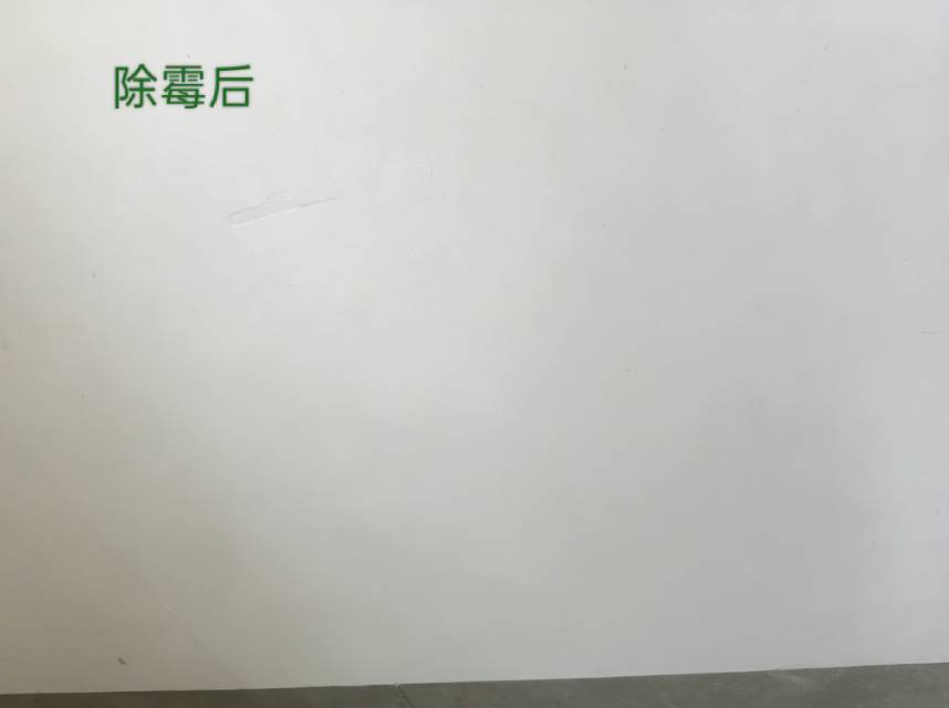 缩略图 9