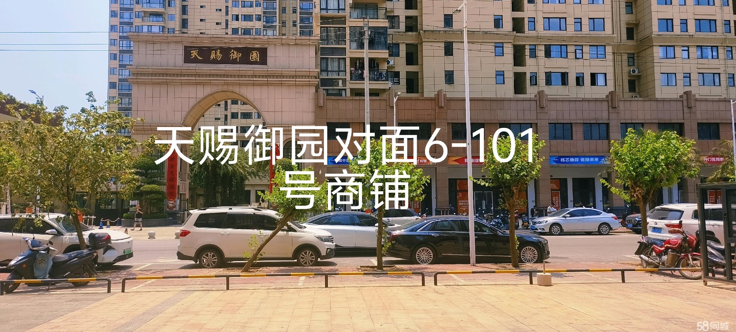 缩略图 4