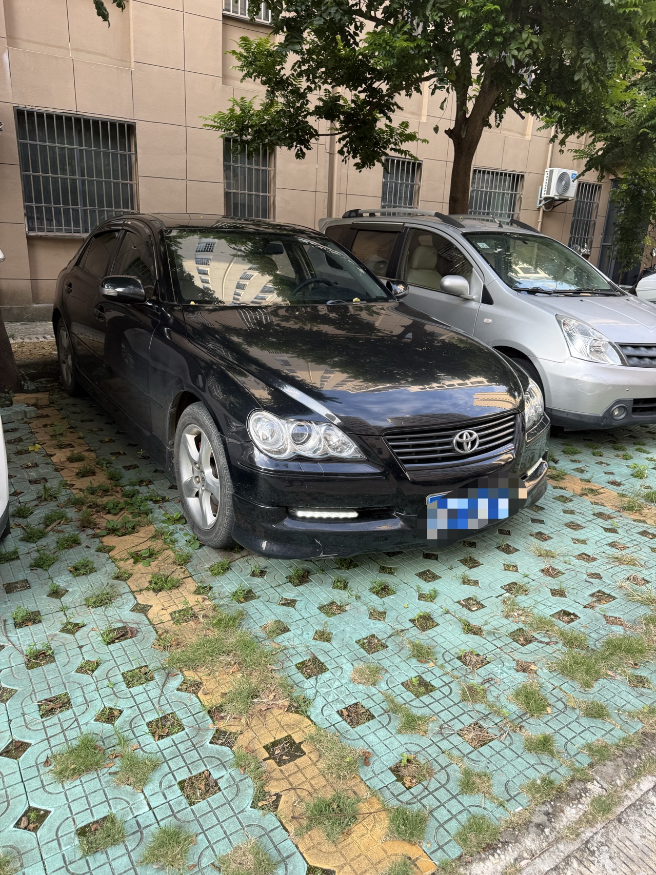 缩略图 5
