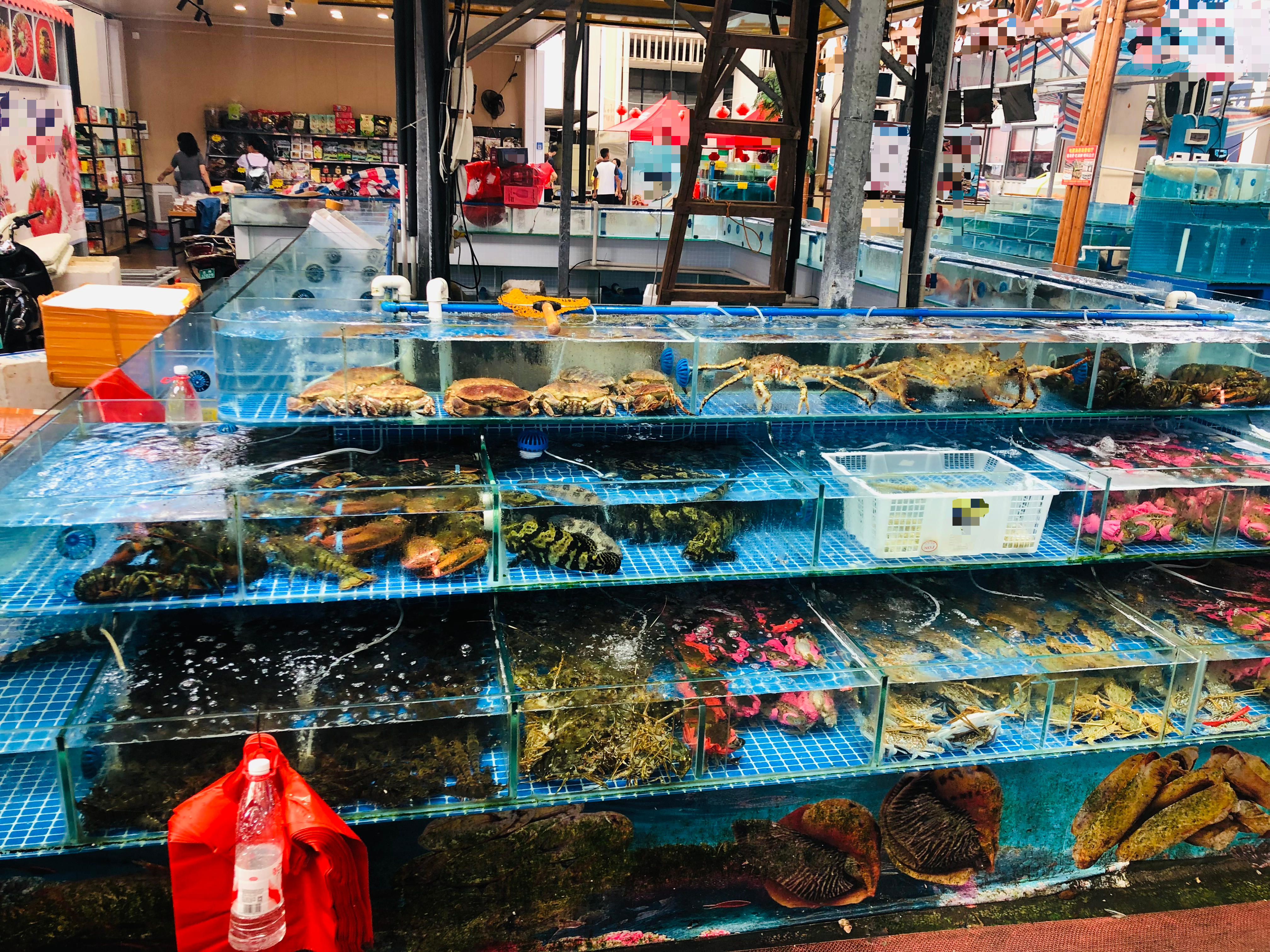 缩略图 6