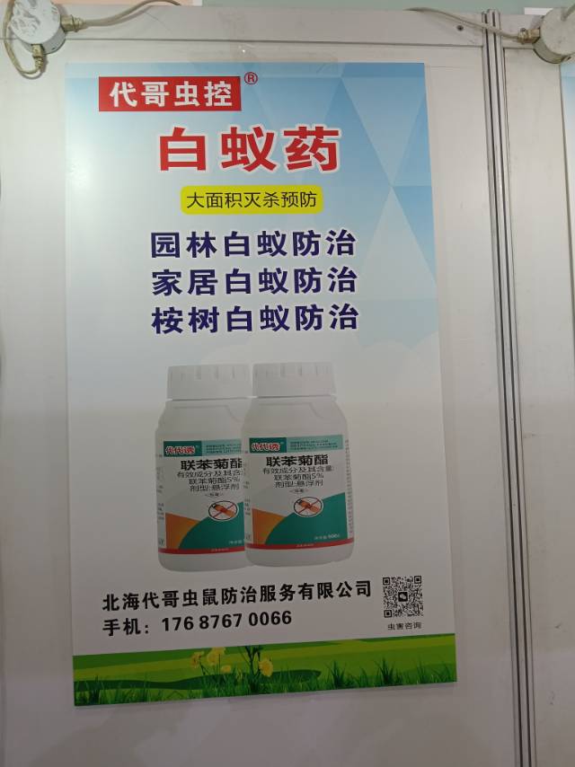 缩略图 2