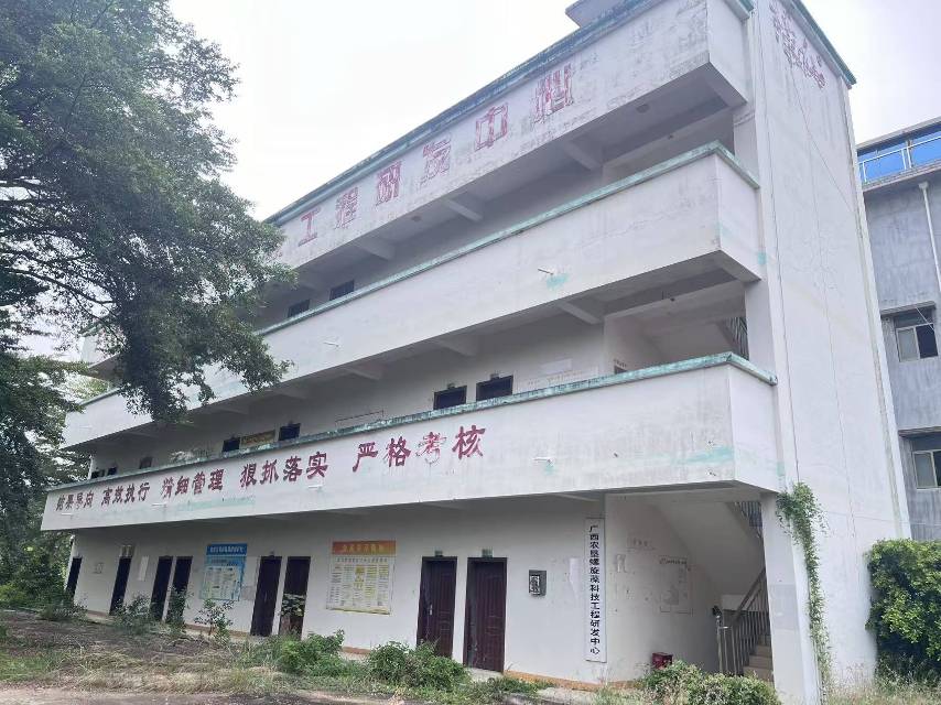 缩略图 6