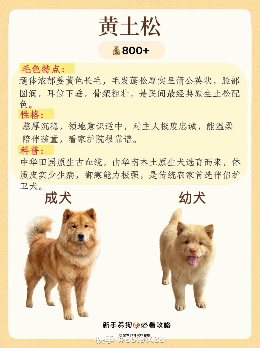 缩略图 3