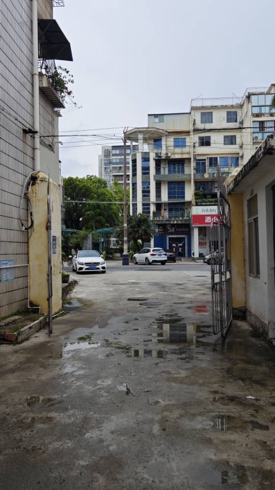 缩略图 2