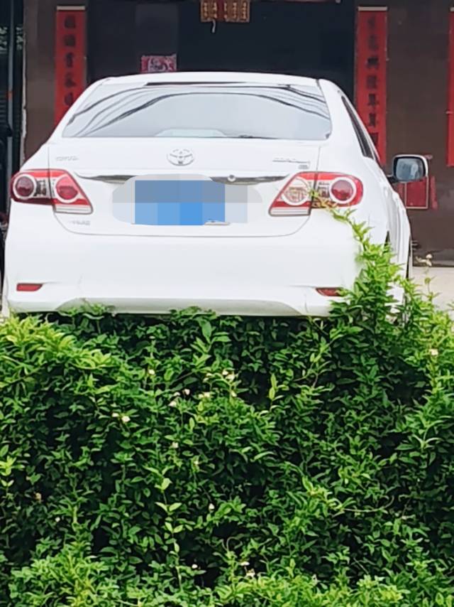 缩略图 2