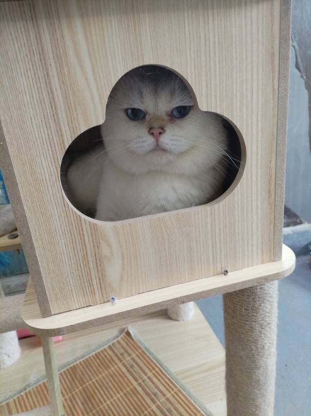 缩略图 7