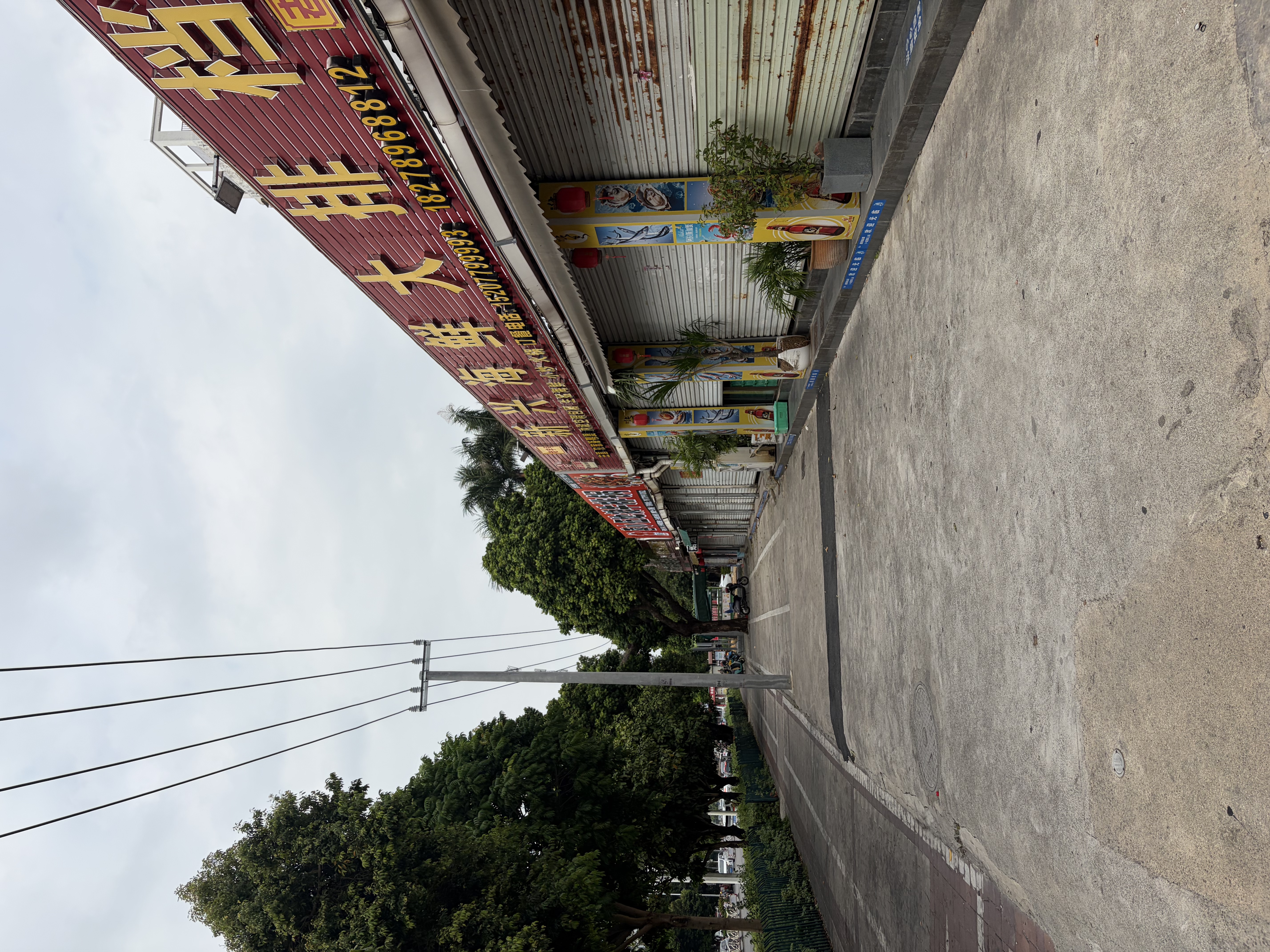 缩略图 2
