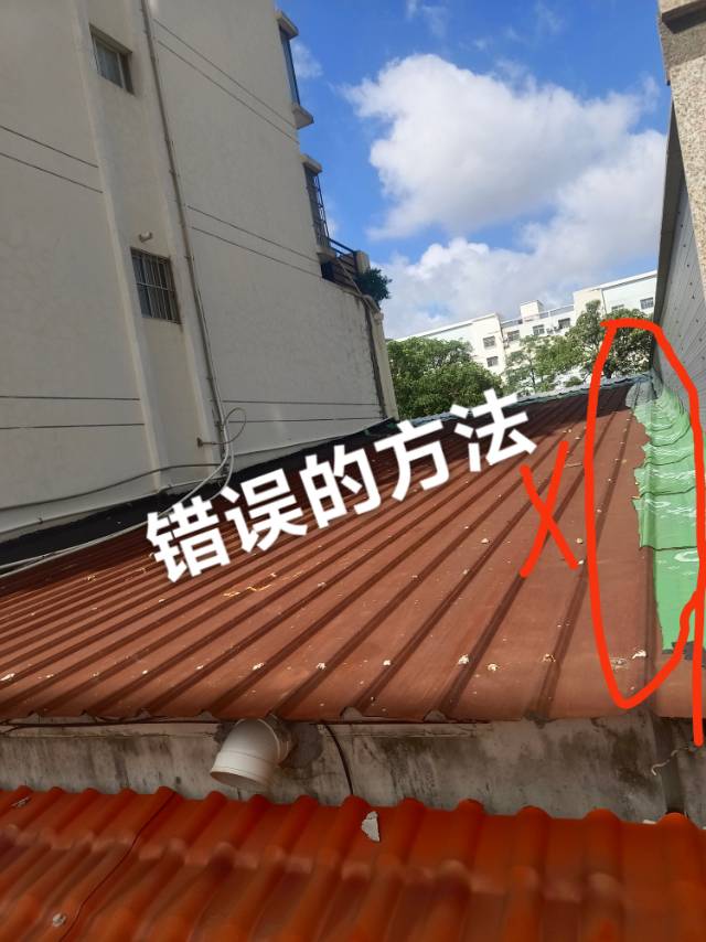 缩略图 5