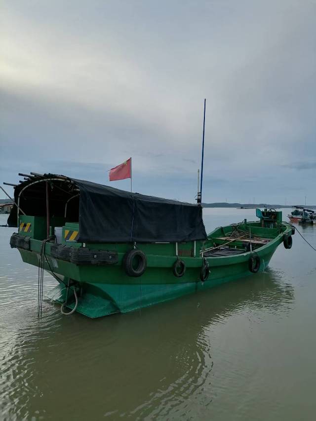 缩略图 4