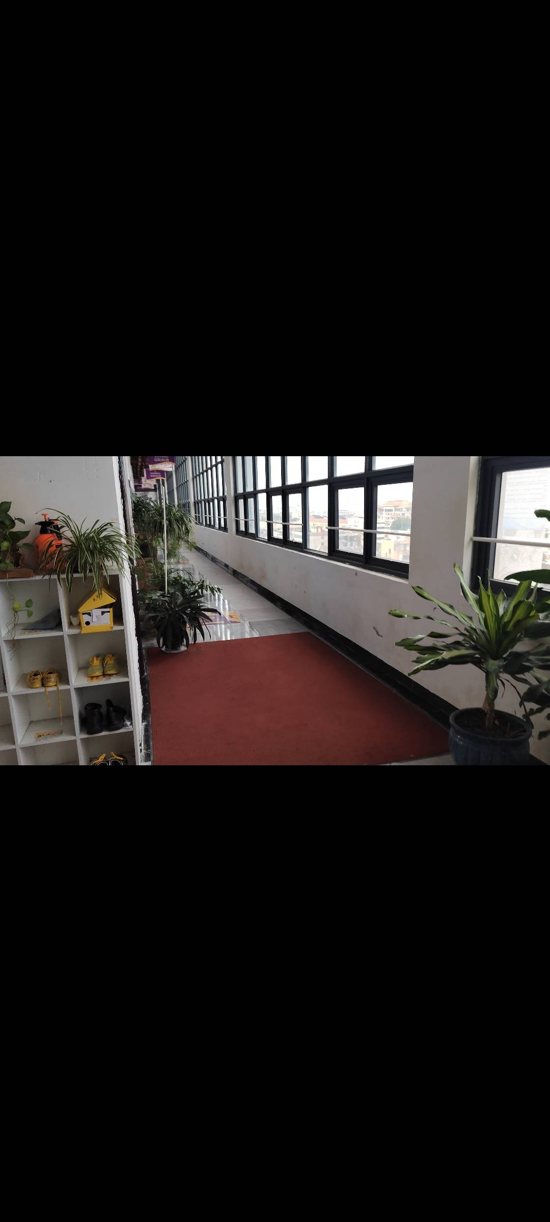 缩略图 3
