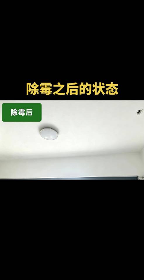 缩略图 2