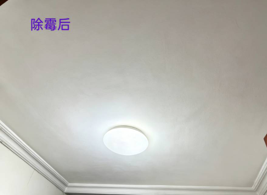 缩略图 4