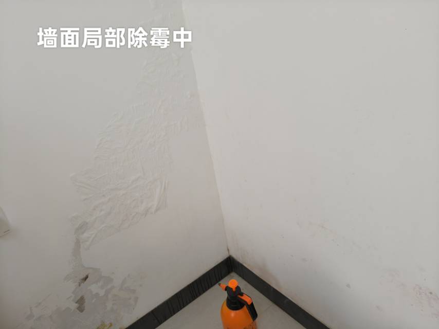 缩略图 3