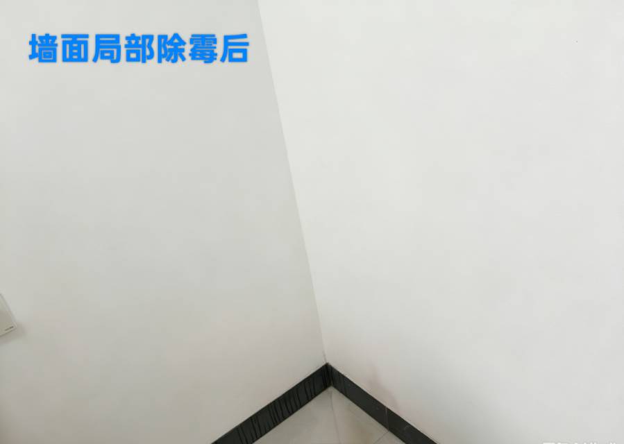缩略图 4