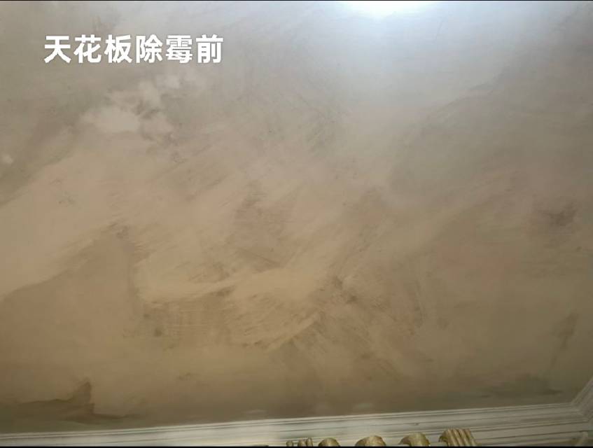 缩略图 7