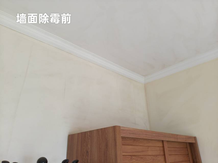 缩略图 6