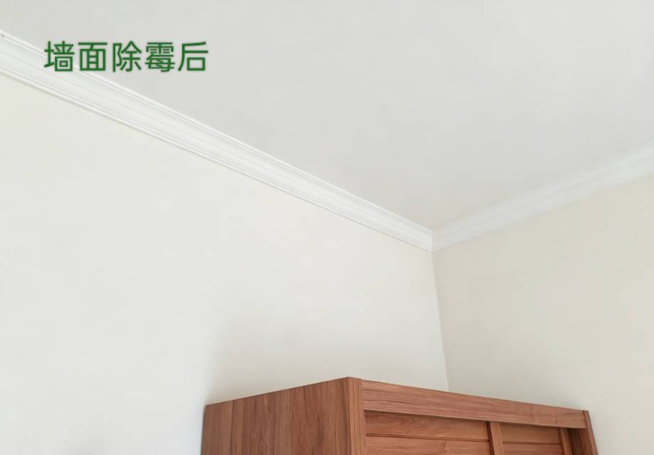 缩略图 7
