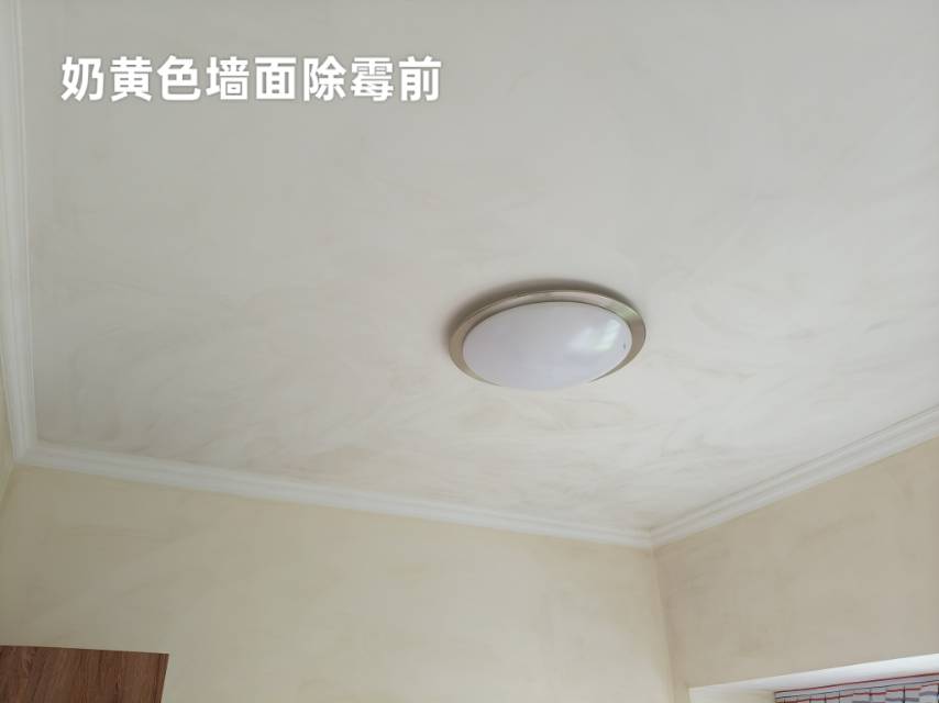 缩略图 8