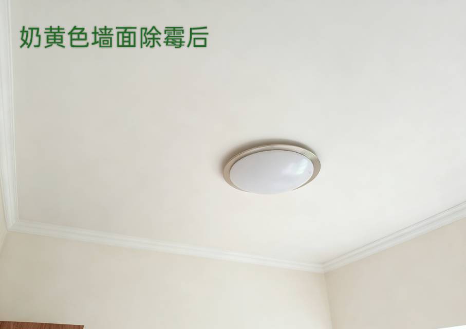 缩略图 9