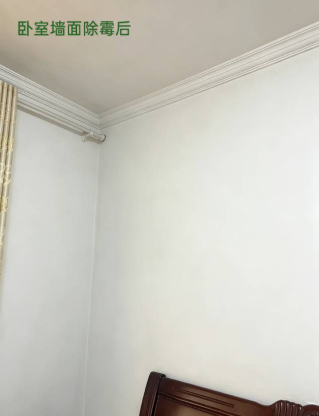 缩略图 5