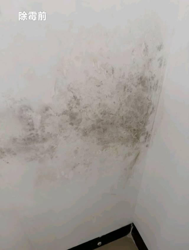 缩略图 6