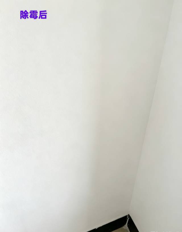 缩略图 7