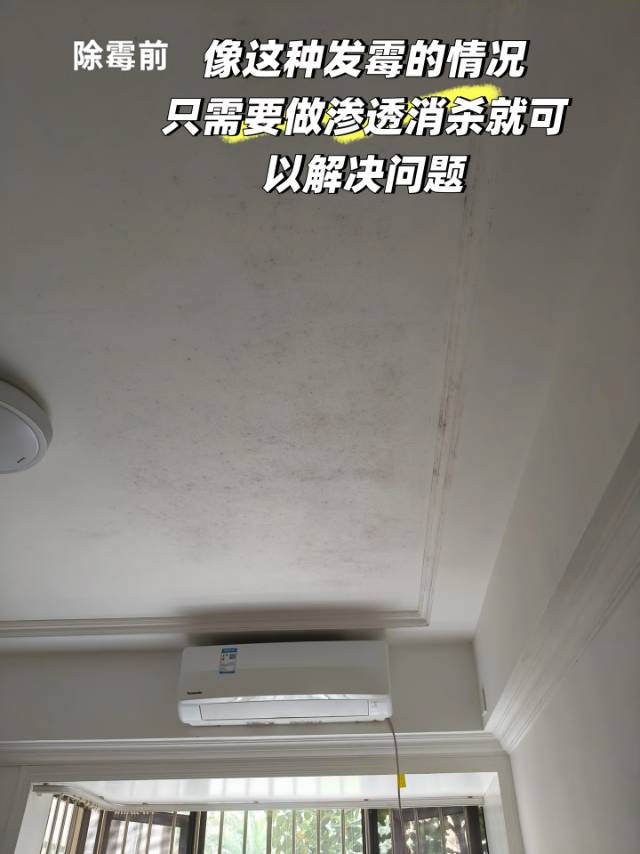 缩略图 2