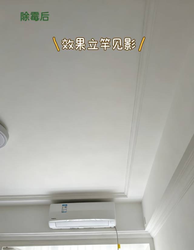 缩略图 4
