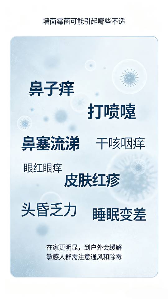 缩略图 5
