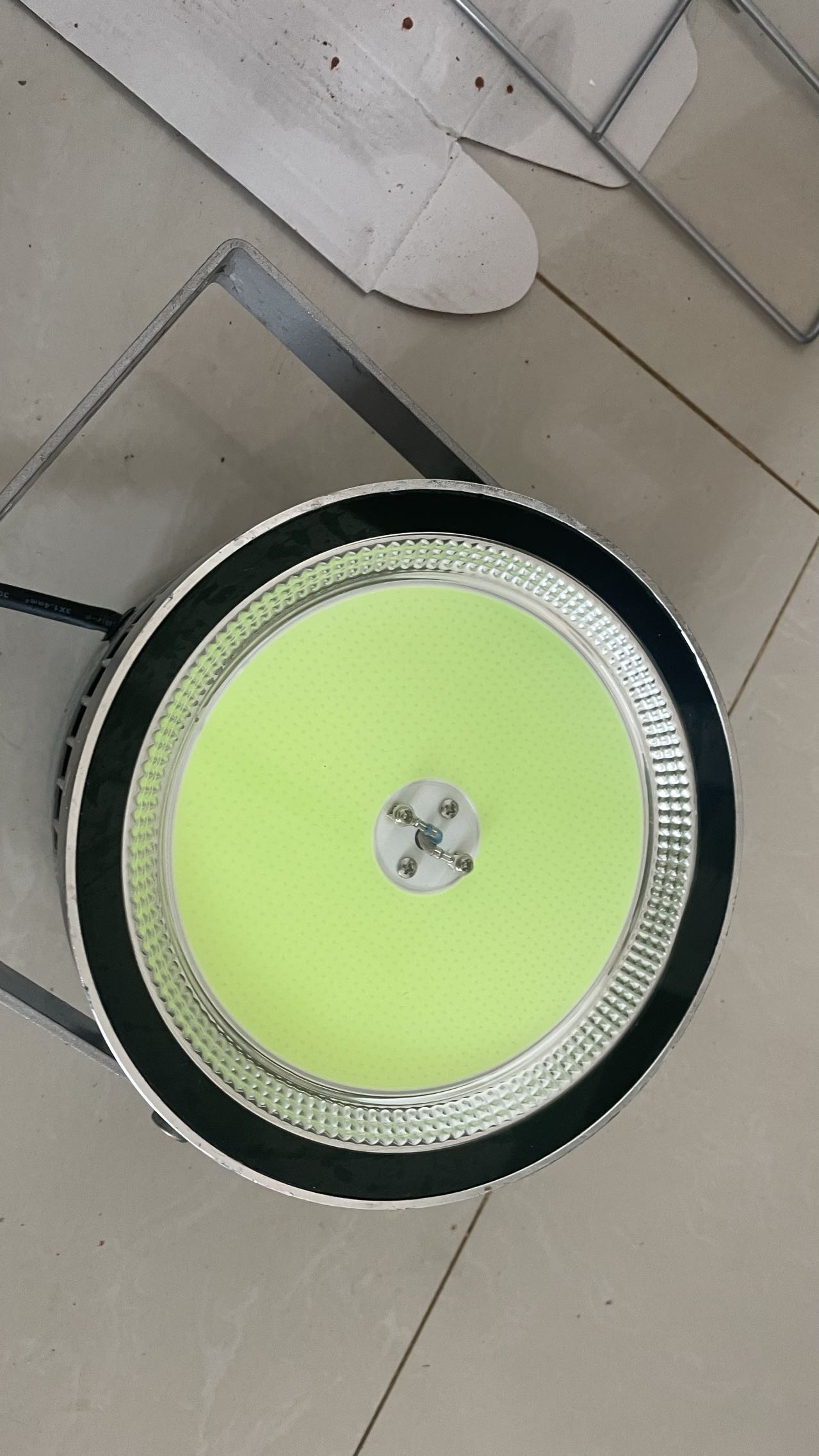 鱿鱼灯