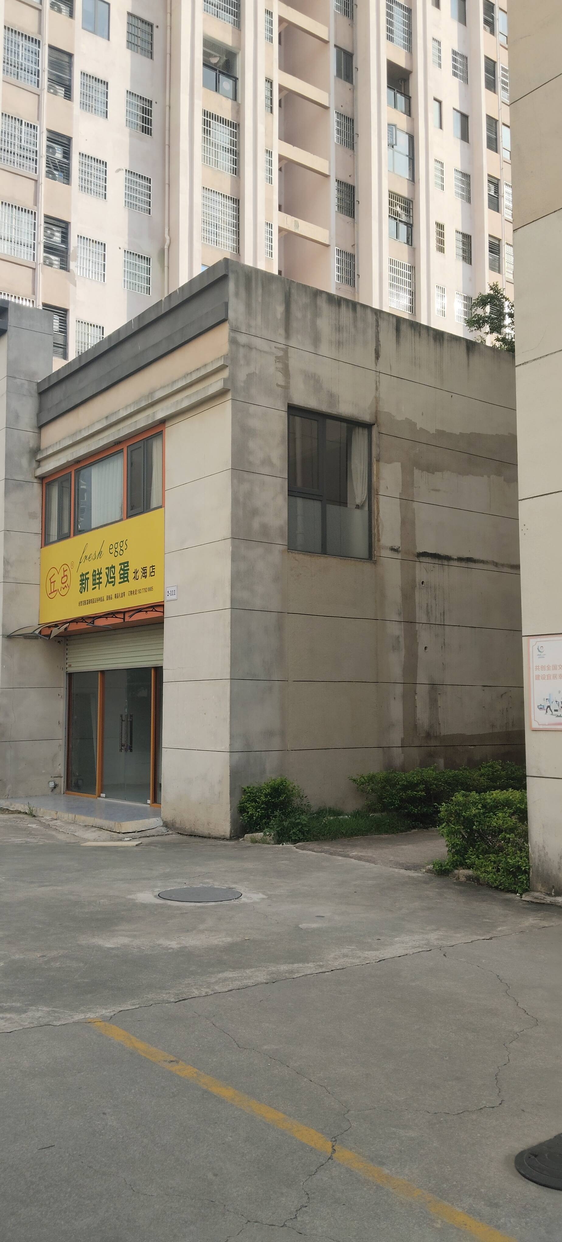 缩略图 9